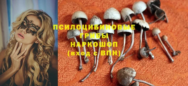 ешки Абаза