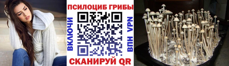 Галлюциногенные грибы MAGIC MUSHROOMS  Дыгулыбгей 